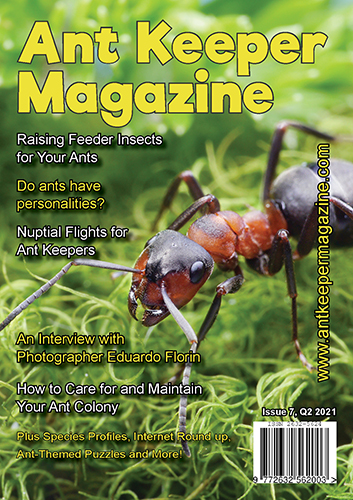 Issue 7 Print (UK)