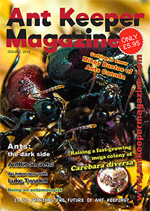 Issue 1 Print (UK)