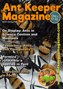Issue 2 Print (UK)